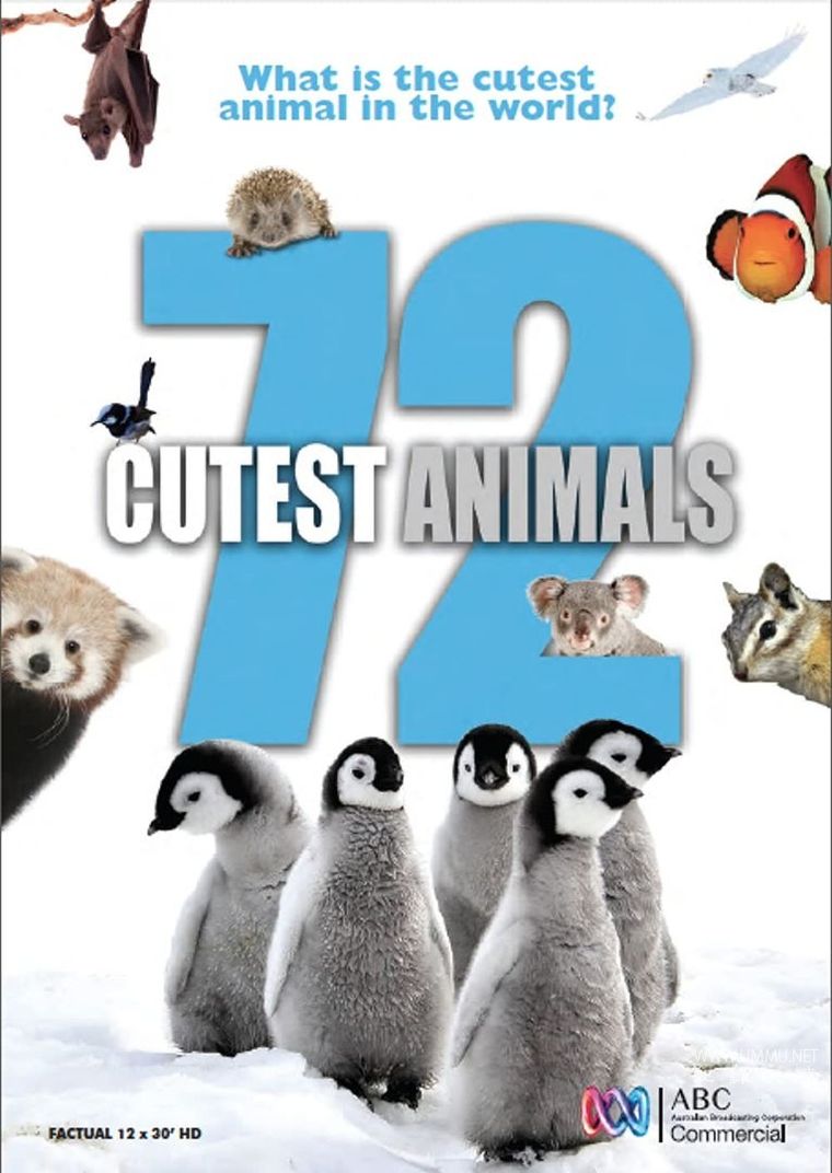 纪录片《72大可爱动物 72 Cutest Animals》全12集