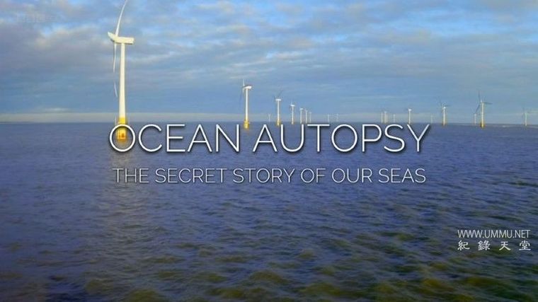 《解剖海洋：我们海洋的秘密 Ocean Autopsy: The Secret Story of Our Seas》英语中字