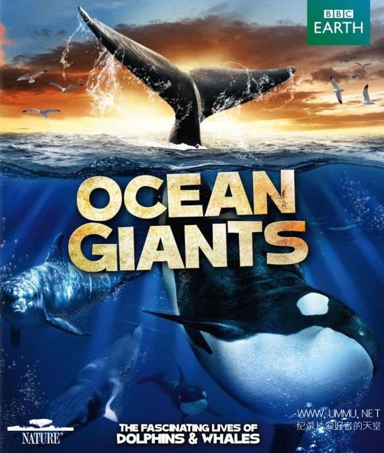海洋巨物 Ocean Giants