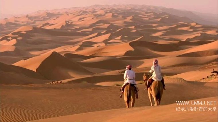 野性阿拉伯 Wild Arabia