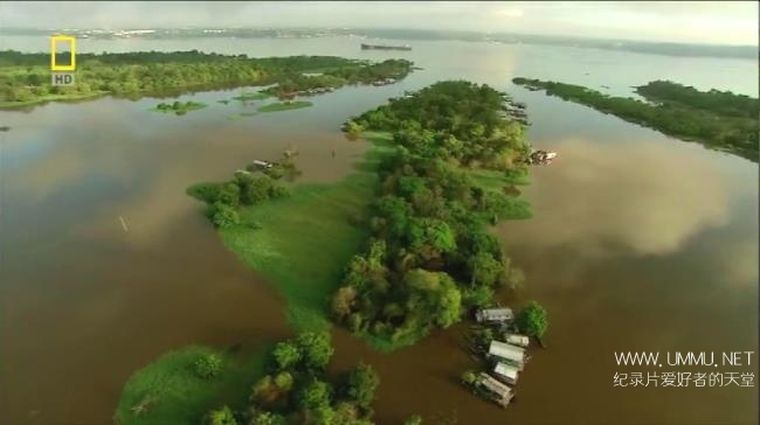 Rivers and Life:Amazon