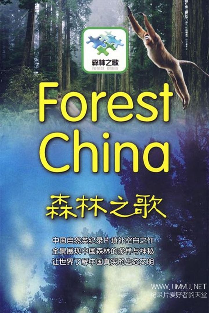 森林之歌 Forest China