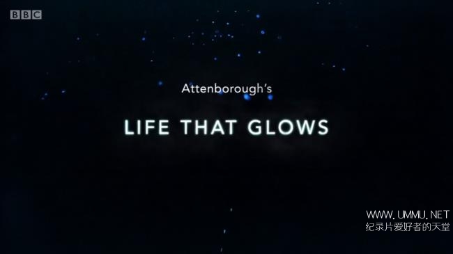 BBC纪录片《爱登堡讲述生命之光 Attenborough’s Life That Glows》英语中字 720P高清 生命之光纪录片
