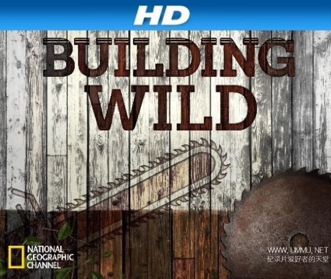 building-wild
