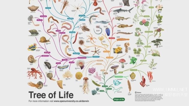 BBC纪录片《达尔文和生命之树 Charles Darwin and the Tree of Life》