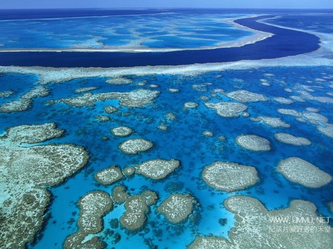 BBC纪录片 海洋天堂大堡礁 Great Barrier Reef 