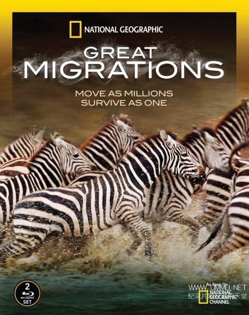大迁徙 Great Migrations