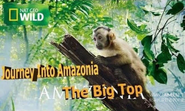国家地理《探索亚马逊 Journey Into Amazonia》