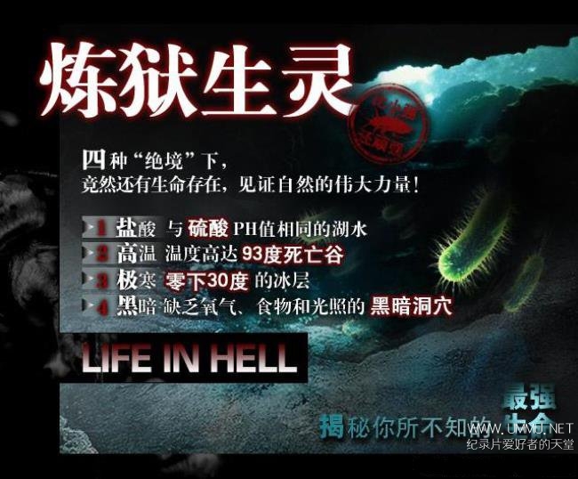 life-in-hell-extremophile