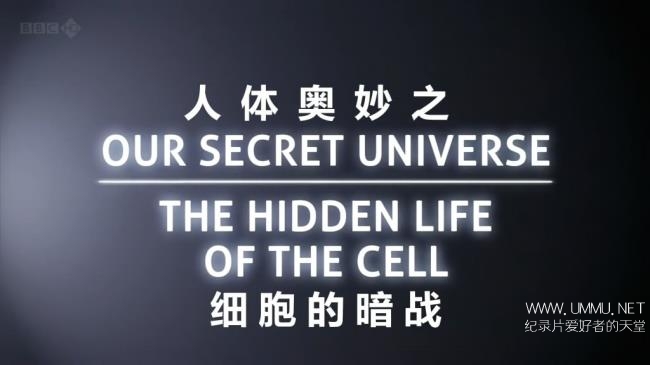 the-hidden-life-of-the-cell