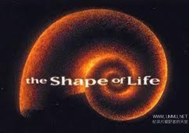 PBS纪录片《生命的形状 Shape of Life》
