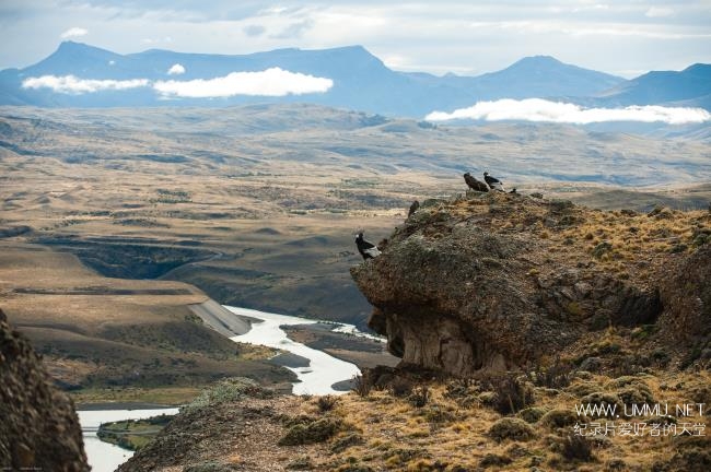 BBC纪录片《野性巴塔哥尼亚 Wild Patagonia》
