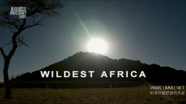 非洲野生大地 Wildest Africa